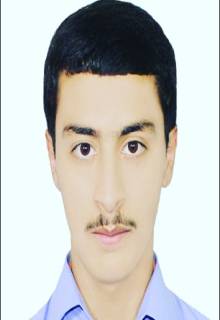 محمدرضا اربابی