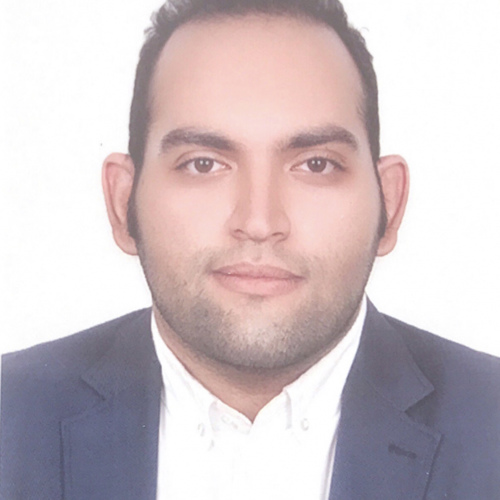 محمدامین مفتون