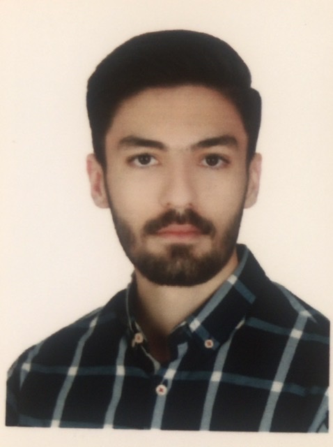 محمدرضا سرلک